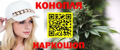 стаф Новозыбков