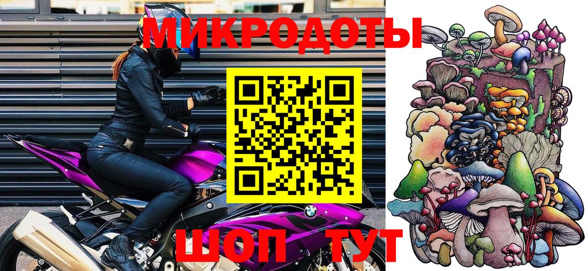 Галлюциногенные грибы Cubensis Удомля