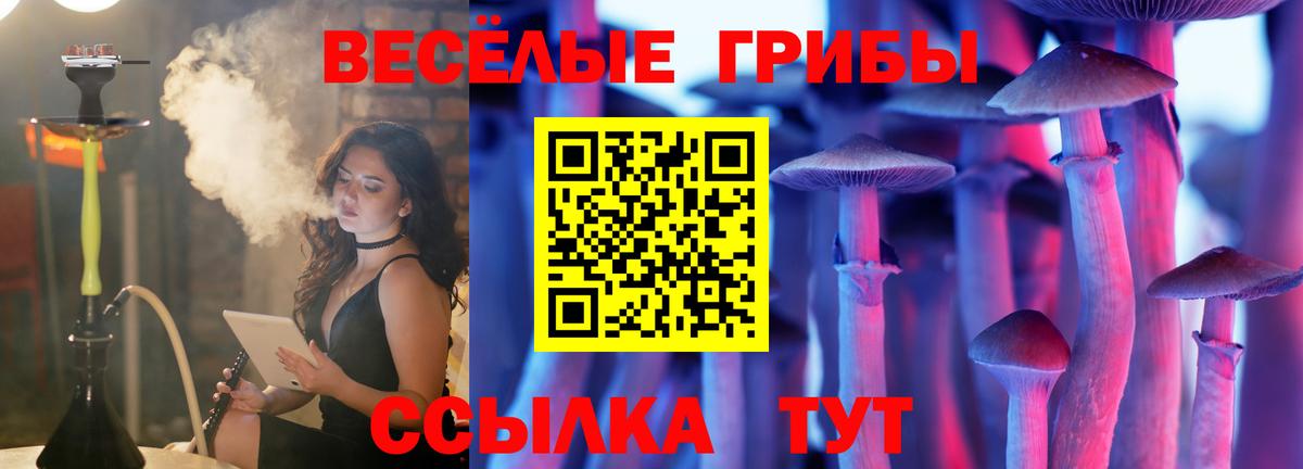 Галлюциногенные грибы Psilocybe  Вход с VPN  наркошоп  Галлюциногенные грибы MAGIC MUSHROOMS  Удомля 